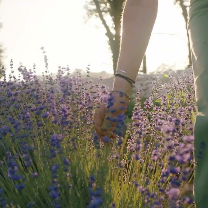 Duftkarte True Lavender