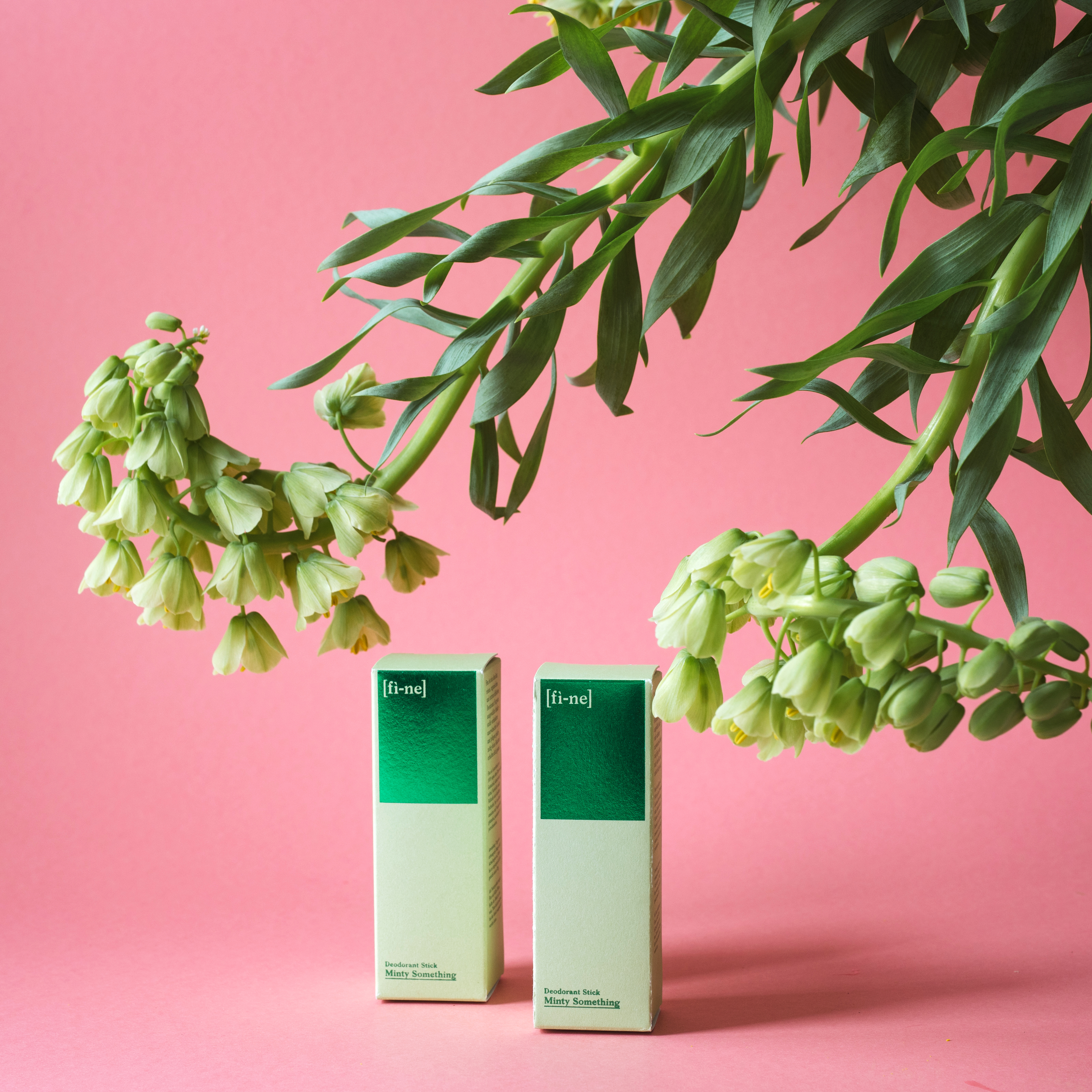 Deodorant Stick Minty Something, 50g