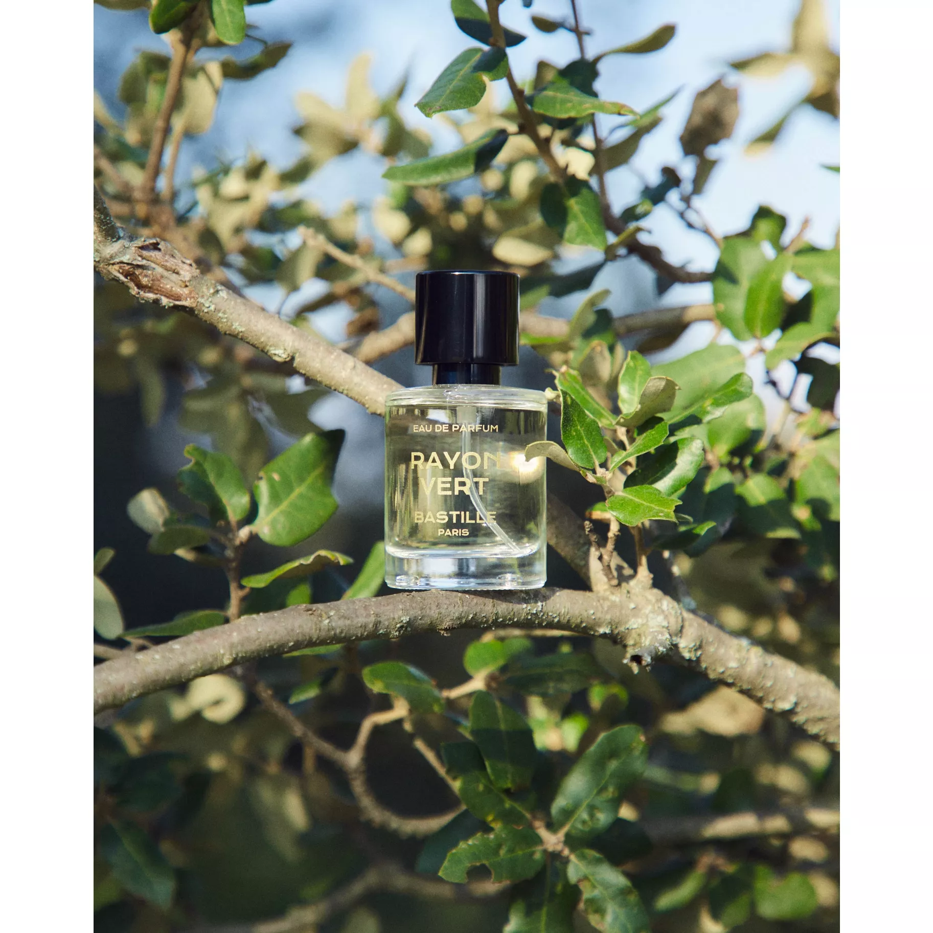 RAYON VERT Eau de Parfum, 50 ml