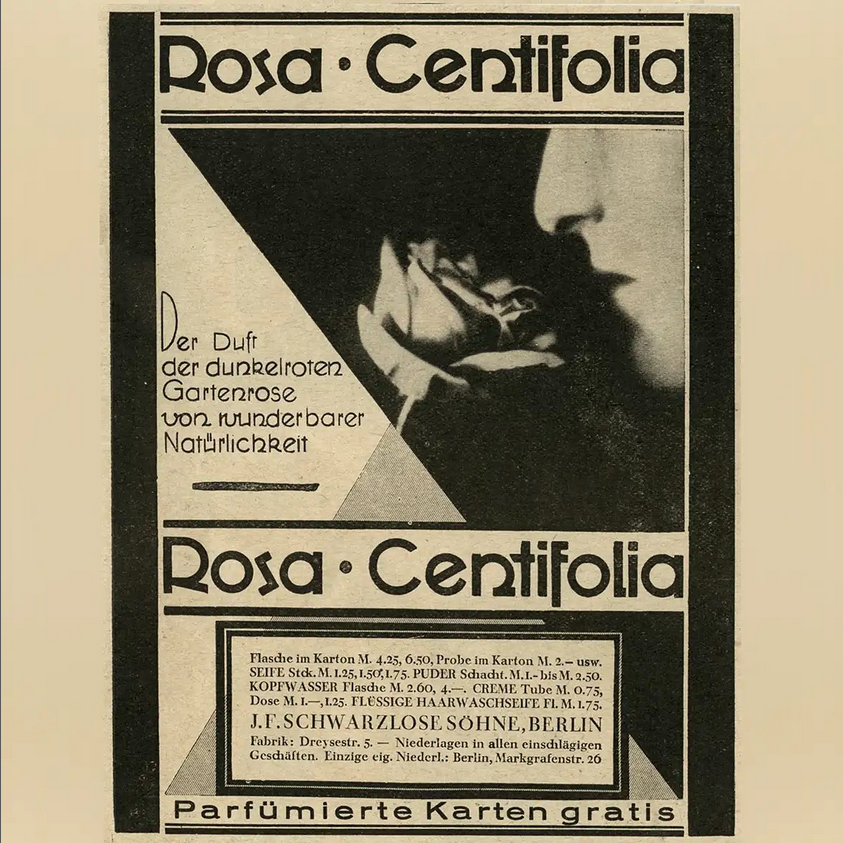 Rosa Centifolia Eau de Parfum, 50ml