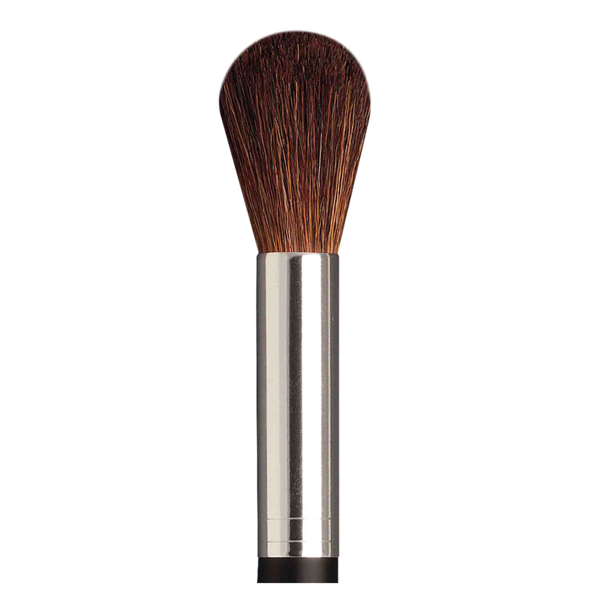 Blush Brush, Basic