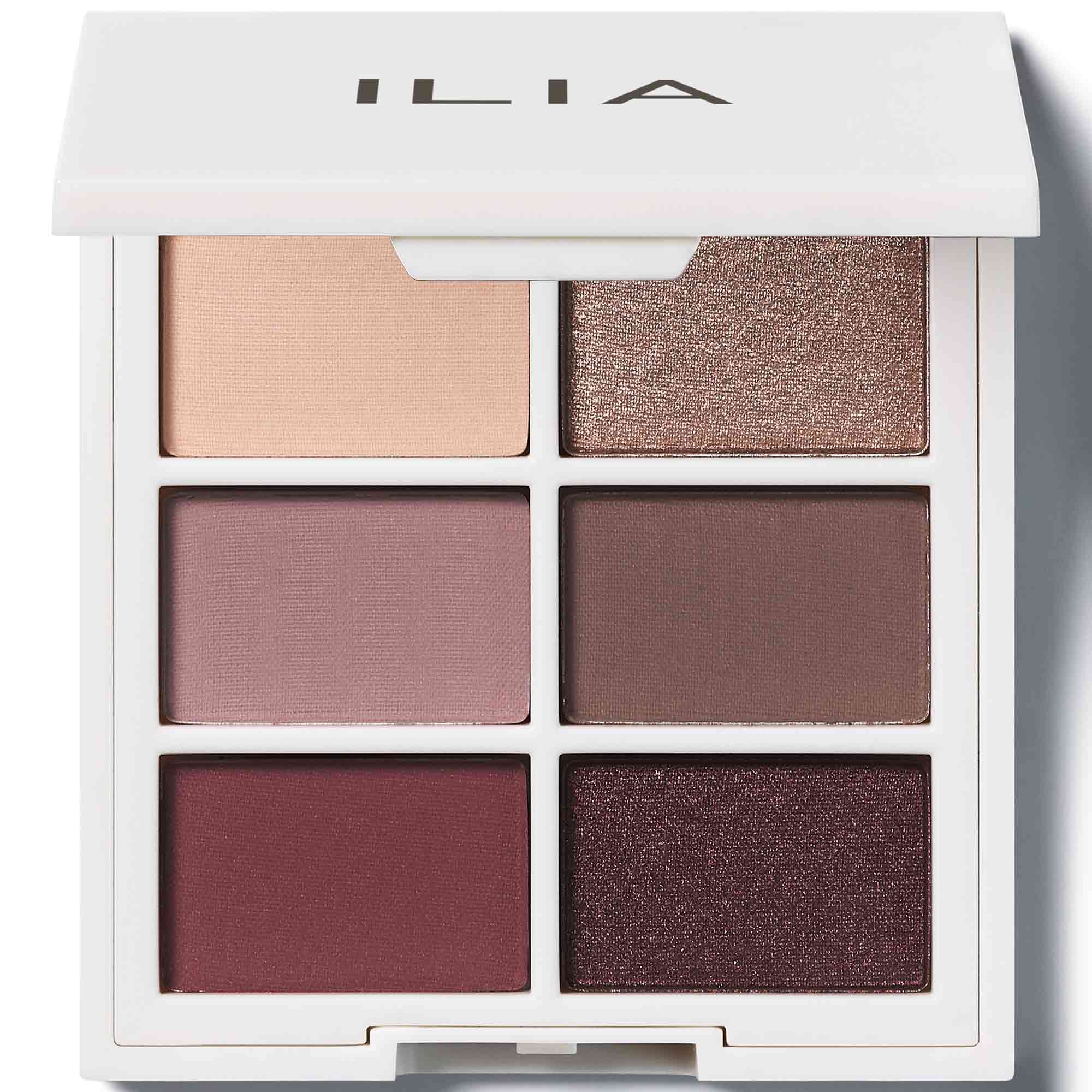 Cool Nude - THE NECESSARY SHADOW PALETTE