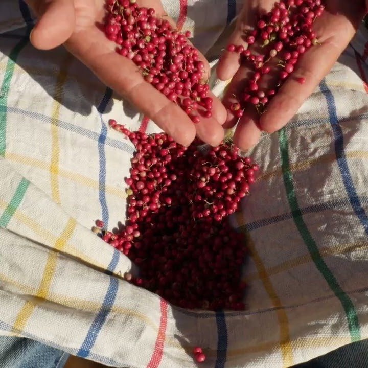 Duftkarte Pink Pepper