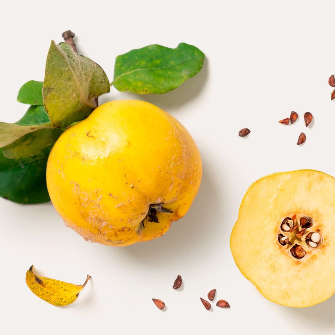 Regeneration Tag und Nachtserum 30 ml