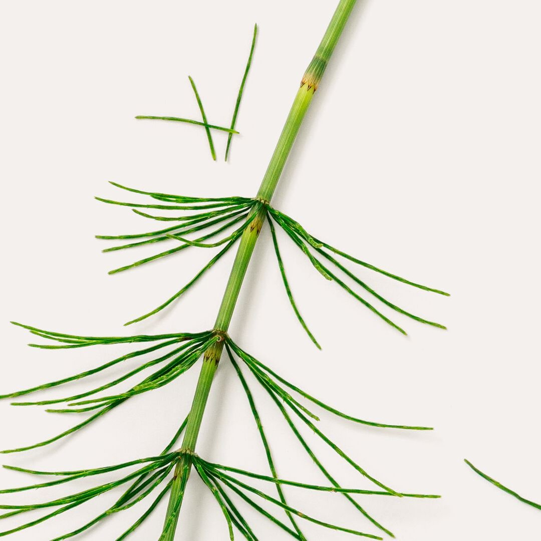 Regeneration Körperbalsam 150 ml