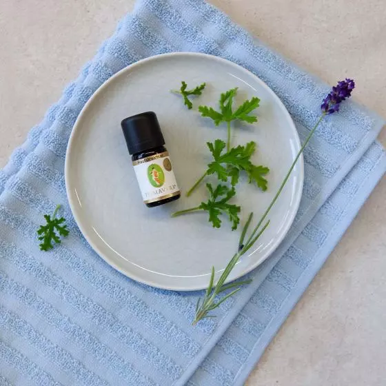 Hautstreichler Kraft Konzentrat, 5 ml