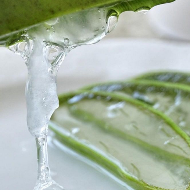 SANTA VERDE Aloe Fresh-Up