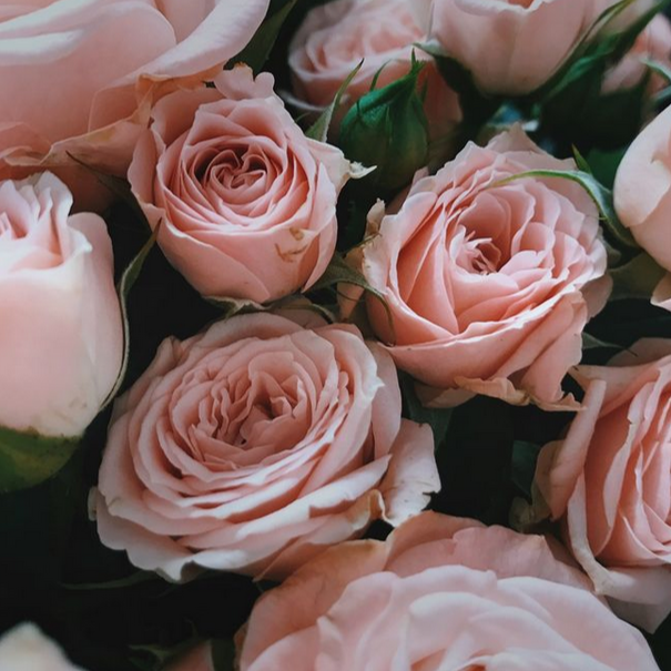 Giardino-Segreto-Eau-de-Parfum-15ml